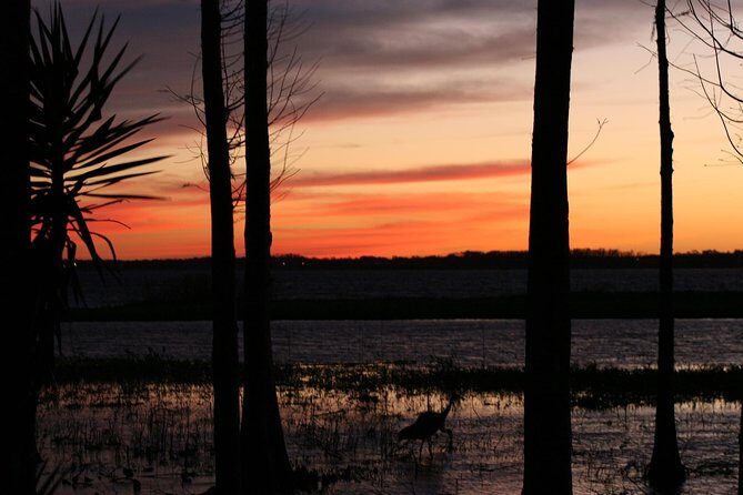 1-Hour Evening Airboat Ride - Safety and Comfort: Gear That Actually Helps