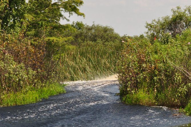 1 Hour Everglades Airboat Tour Orlando Florida - Price and Value: Is $68 for an Hour a Smart Deal?