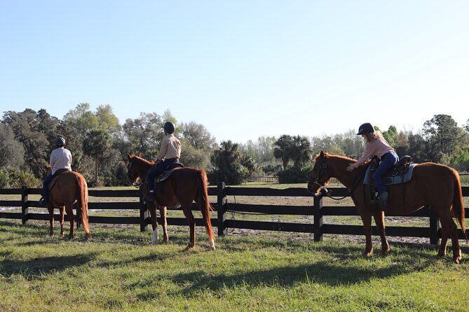1 Hour Guided Horseback Trail Ride Rock Springs Run State Reserve - The ride route: springs, creek, and the wildlife odds