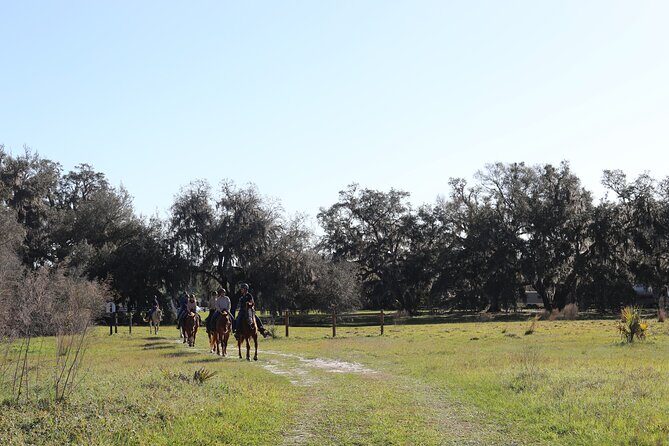 1 Hour Guided Horseback Trail Ride Rock Springs Run State Reserve - Florida history on horseback: the Ethel corridor stories