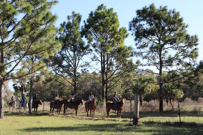 1 Hour Guided Horseback Trail Ride Rock Springs Run State Reserve - Safety and animal welfare: the one big reason to pay attention