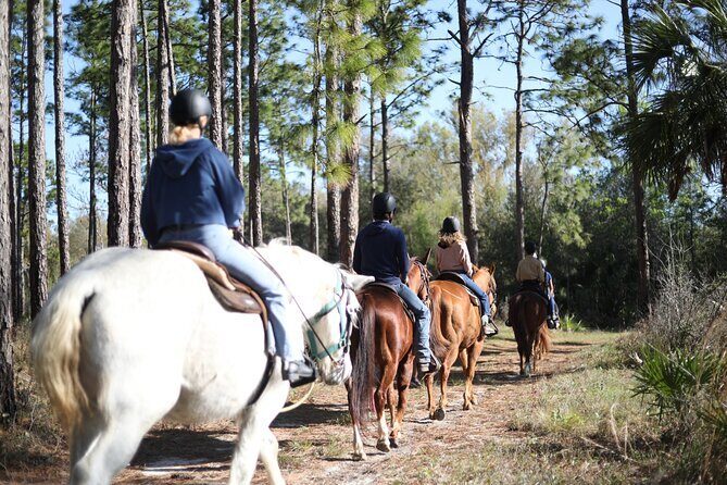 1 Hour Guided Horseback Trail Ride Rock Springs Run State Reserve - Meeting the horses and getting ready the right way