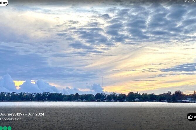 1 Hour Scenic Pontoon Day Cruise - Wildlife spotting: how to get better chances without ruining the vibe
