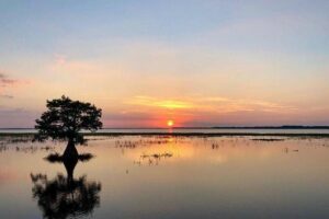1-Hour Sunset Airboat Ride near Orlando - From Restaurant to Dock: How Your Waiting Time Plays Out