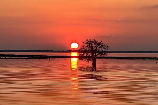 1-Hour Sunset Airboat Ride near Orlando - Wildlife and Dusk Views: What You Can Expect on the Water