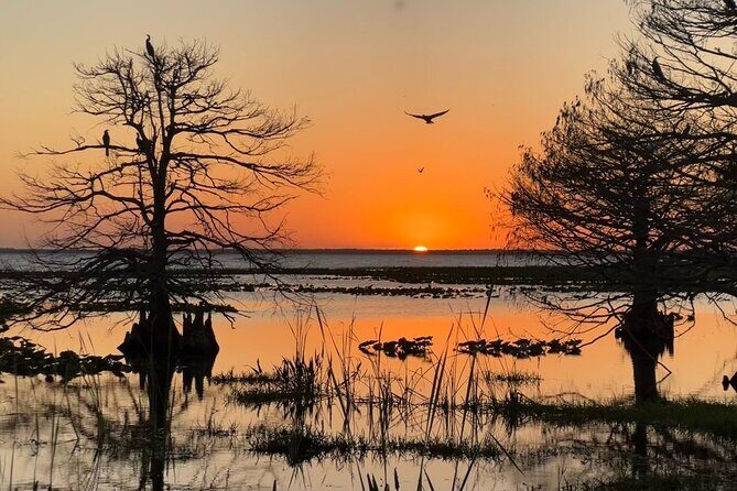 1-Hour Sunset Airboat Ride near Orlando - Captain Energy Can Change the Feel