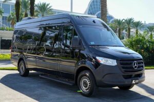 11 Passengers Van Orlando Airport to Port Canaveral One Way - Family-Friendly Comfort: Car Seats and Boosters Included