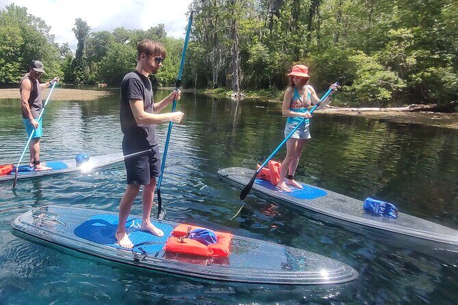 2-Hour Clear Kayak and Paddleboard(SUP) Rental in Orlando - The Middle Lakes: A More Natural Paddle (and Less City Noise)