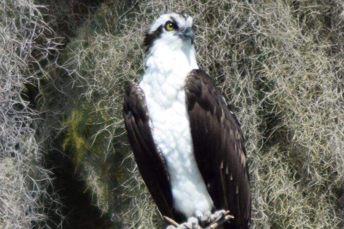 2 Hour Historical Wildlife Tour of the Chain of Lakes - Bring this small kit: sunscreen, hat, and your snacks