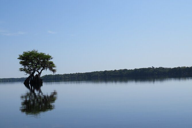3 Hour Small Group Lake Norris Kayak Activity - The 9:00 AM, 3-Hour Out-and-Back Plan (and Why That’s Convenient)