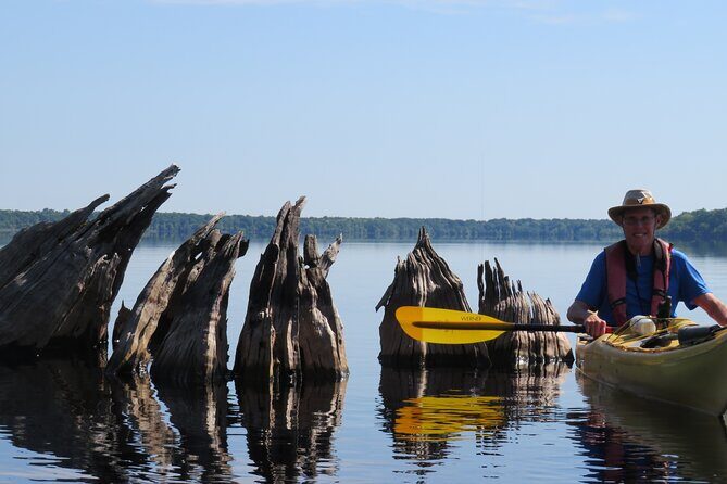 3 Hour Small Group Lake Norris Kayak Activity - Watching Osprey Nests in Real Life (Not Just on a Postcard)