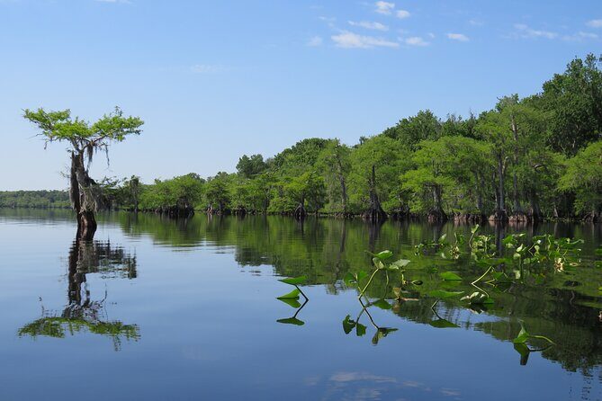 3 Hour Small Group Lake Norris Kayak Activity - What Happens During the Paddle Time (How to Expect Each Part to Feel)