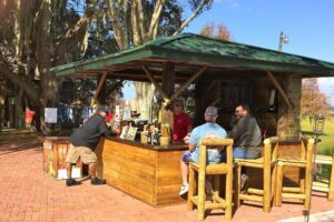30-Minute Airboat Ride, Lunch, Gem Mining and Park Admission - Alligator Oasis live viewing and the butterfly garden on property