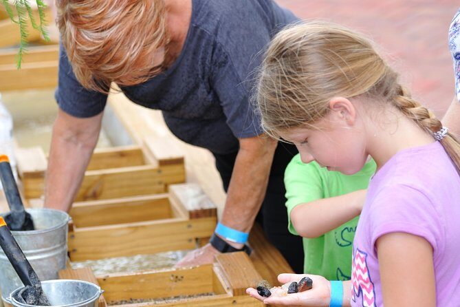 30-Minute Airboat Ride, Lunch, Gem Mining and Park Admission - Price and value: is $64.98 a deal in Orlando-area terms?