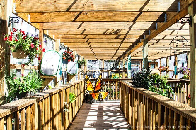 30-Minute Airboat Ride near Orlando - Butterfly Garden + On-Site Stops That Stretch the Day