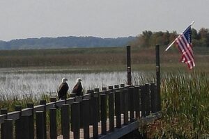 90 minute Everglades Airboat Tour near Orlando Florida - Getting There: The Meeting Point and What to Expect Before Boarding
