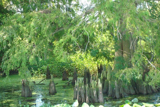 90 minute Everglades Airboat Tour near Orlando Florida - Seating, Comfort, and the Less-Crowded Feeling