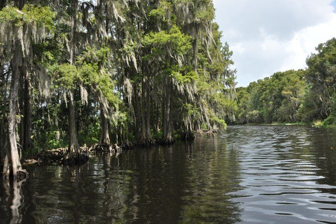 90 minute Everglades Airboat Tour near Orlando Florida - Price and Value: Is $89 a Good Deal?
