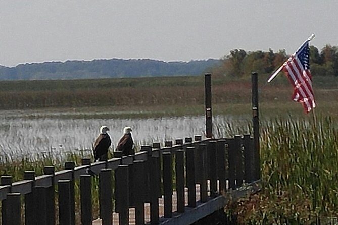 90 minute Everglades Airboat Tour near Orlando Florida - Getting There: The Meeting Point and What to Expect Before Boarding
