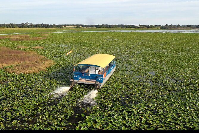 90 Minute Florida Everglades Boat Eco Tour - Key highlights worth your time