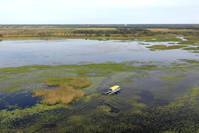 90 Minute Florida Everglades Boat Eco Tour - Kissimmee to Lake Toho: The 90-Minute Everglades Reset