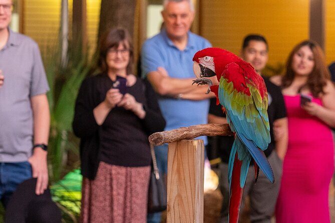 Central Florida Zoo and Botanical Gardens Ticket - Don’t miss the rhinoceros pool and rare-species moments
