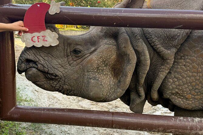 Central Florida Zoo and Botanical Gardens Ticket - Wharton-Smith Tropical Splash Ground: when to bring your swimsuit