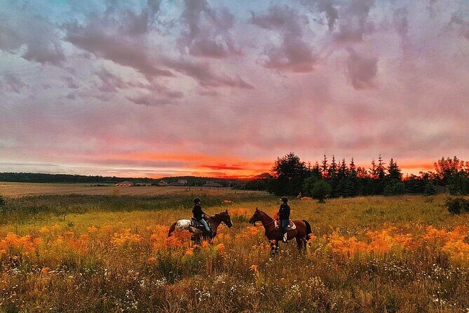 Champagne and Charcuterie Sunset Trail Ride - Lake Louisa State Park trails: rolling hills, meadows, and forest paths