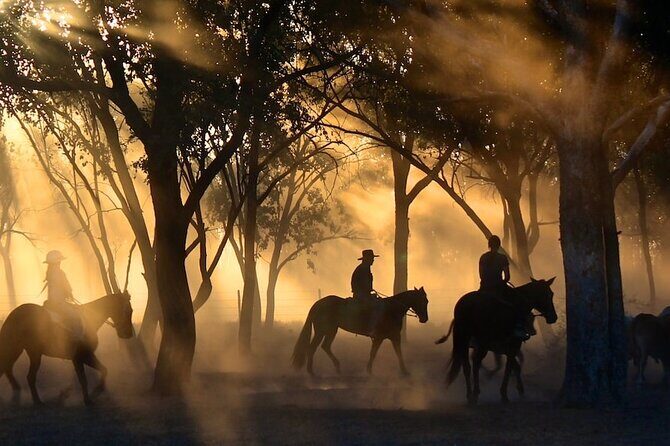 Champagne and Charcuterie Sunset Trail Ride - Meeting point on US-27 in Clermont: keep arrival simple