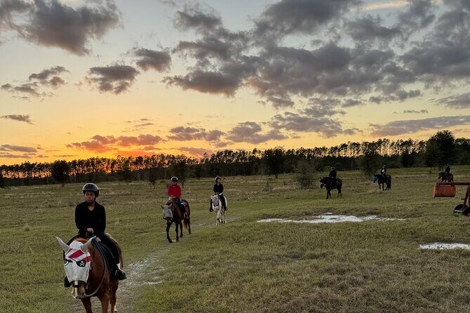 Champagne and Charcuterie Sunset Trail Ride - Who should book this sunset trail ride (and who should skip)
