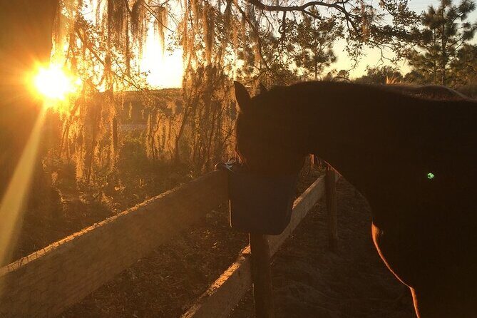 Champagne and Charcuterie Sunset Trail Ride - What “champagne and charcuterie at sunset” likely means for your schedule