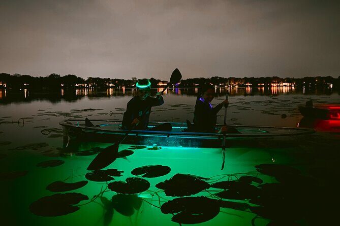 Clear Kayak Glow in the Dark Tour Through Winter Park - Wildlife spotting (what you can expect, and what to do with uncertainty)