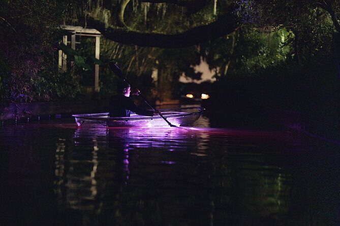 Clear Kayak Glow in the Dark Tour Through Winter Park - Price and value: is $90 a good deal for 90 minutes?