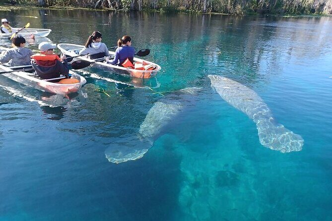 Clear Kayak or Paddleboard Manatee Adventure - Your 2-hour schedule, minus the fluff