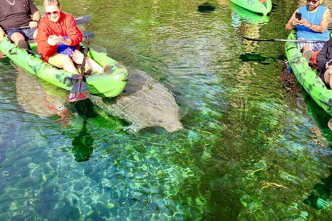 Clear Kayak or Paddleboard Manatee Adventure - Guide energy and photo keepsakes (Stevie, Roger, Ben, and more)