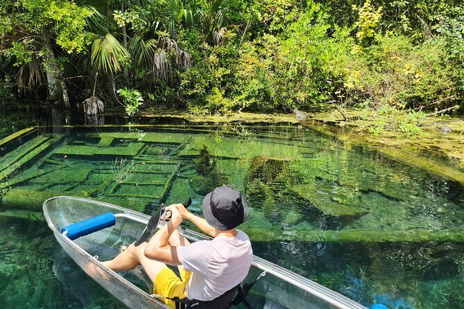 Clear Kayak or Paddleboard Manatee Adventure - Who this tour is best for (and who may want a different plan)