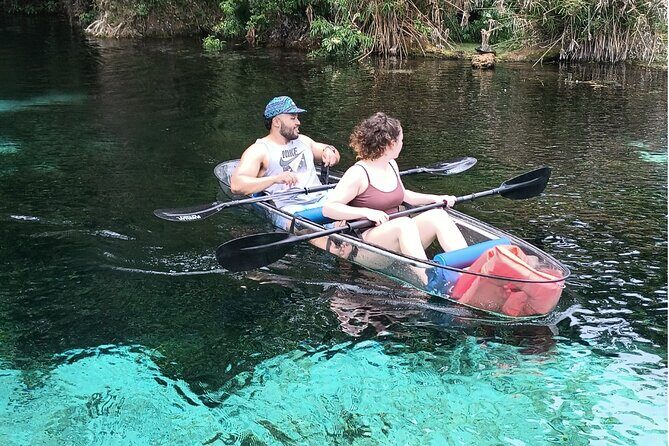 Clear Kayak or Paddleboard Manatee Adventure - The bottom line: should you book this clear kayak manatee adventure?