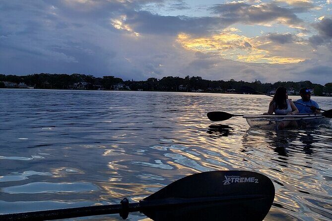 Clear Kayak Sunset Tour through The Winter Park Chain of Lakes - Price and value: what $80 really buys you