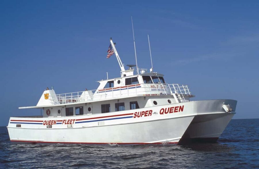 Clearwater Beach and Dolphin Cruise Day Trip from Orlando - Getting to the Gulf: Orlando pickup times and what to expect on the drive