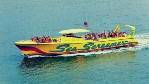 Clearwater Beach and Dolphin Cruise Day Trip from Orlando - Clearwater Beach arrival: what you’ll actually do with five hours