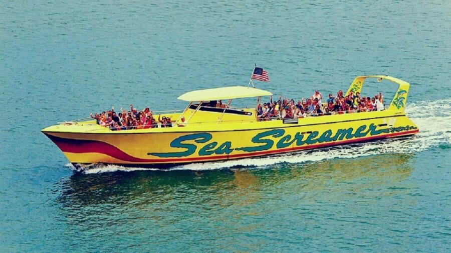 Clearwater Beach and Dolphin Cruise Day Trip from Orlando - Practical timing: how the day flows from morning pickup to evening return