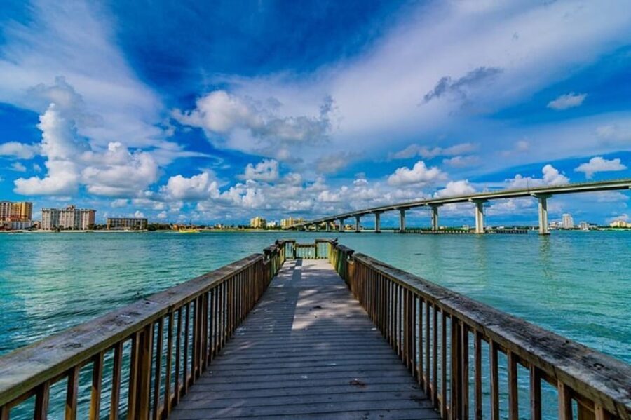 Clearwater Beach and Dolphin Cruise Day Trip from Orlando - Should you book this Clearwater Beach and Dolphin Cruise day trip?