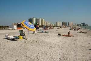 Clearwater Beach Bus Express - Price and logistics: what $100 buys you (and what it doesn’t)