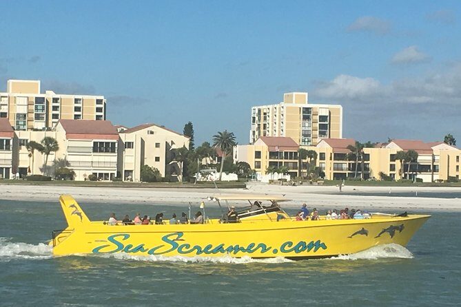 Clearwater Beach Day Trip from Orlando with Upgrade Options - Dolphin Encounters (Stop 4): Your Best Bet for Seeing Dolphins
