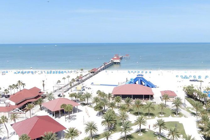 Clearwater Beach Day Trip from Orlando with Upgrade Options - Clearwater Marine Aquarium (Stop 6): Winter the Dolphin Meets Reality