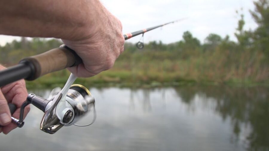 Clermont: Trophy Bass Fishing Experience with Expert Guide - Price: what $325 for up to 2 really buys you