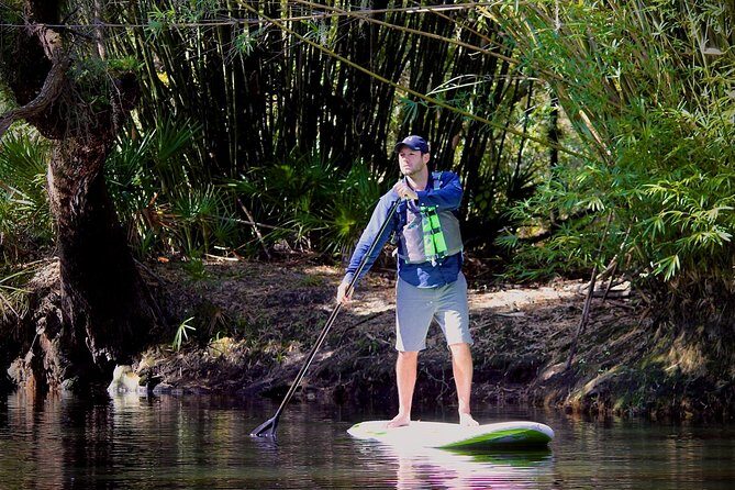 Cypress Forest: Guided Nature Kayak Eco-Tour - Where you meet and what makes the logistics easy