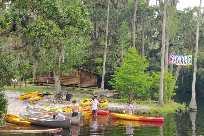 Cypress Forest: Guided Nature Kayak Eco-Tour - Price and value: what $74.59 buys you in real time