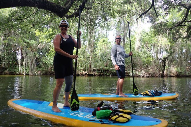 Dora Canal Wildlife Kayak Tour – Scenic Old Florida - Quick Key Points Before You Go