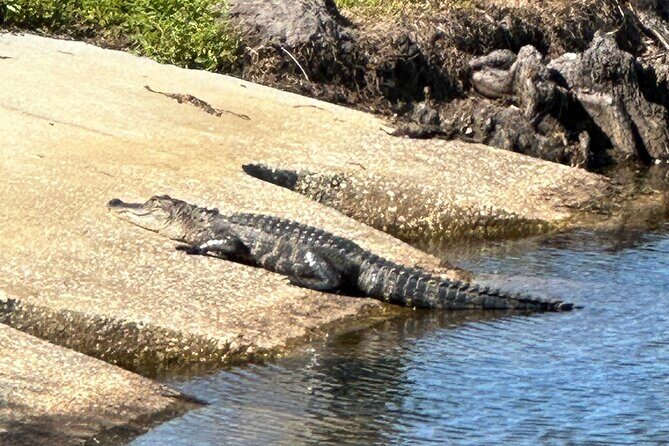 Epic 2-Hour Kissimmee E-Bike Adventure Awaits with Toho Bikes! - St. Cloud Lakefront Park: Paved Trails, Pavilion Views, and Wildlife Up Close